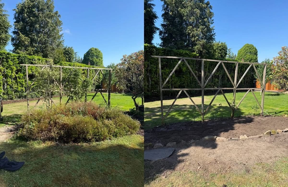 An overgrown border cleared and dug over, ready to replant