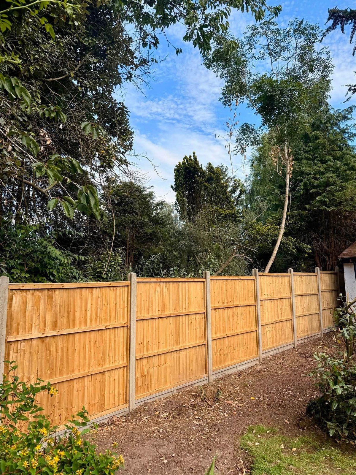 New fence panels and posts along the boundary