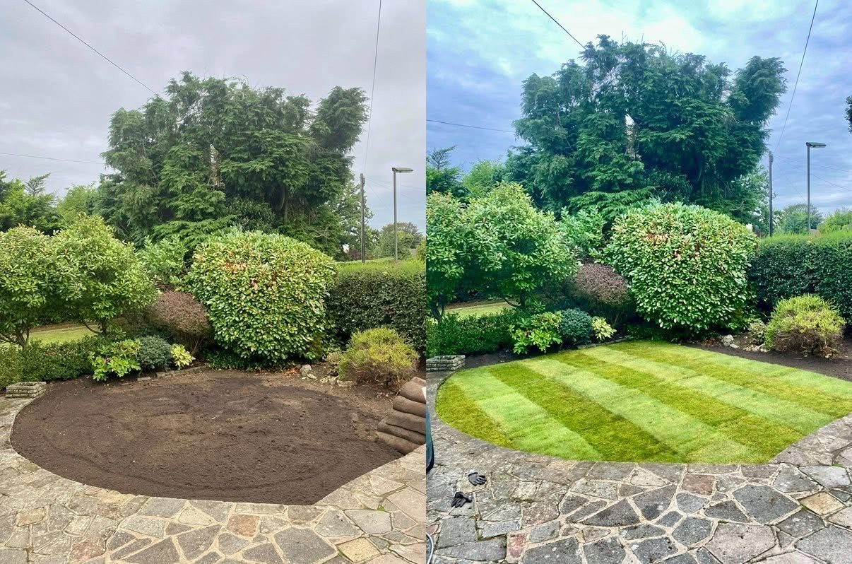 A bare circle of soil returned to striped lawn with turfing