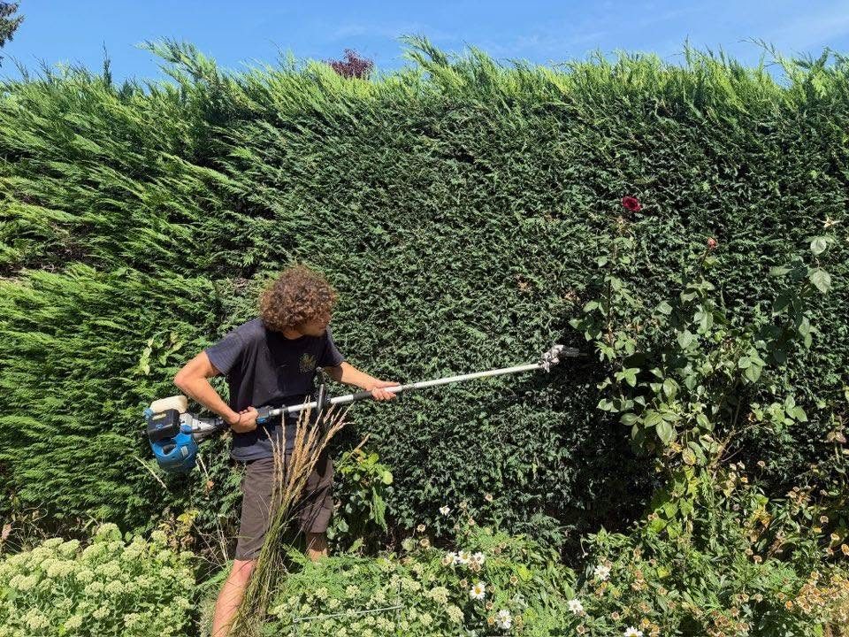 Tidying up a hedge
