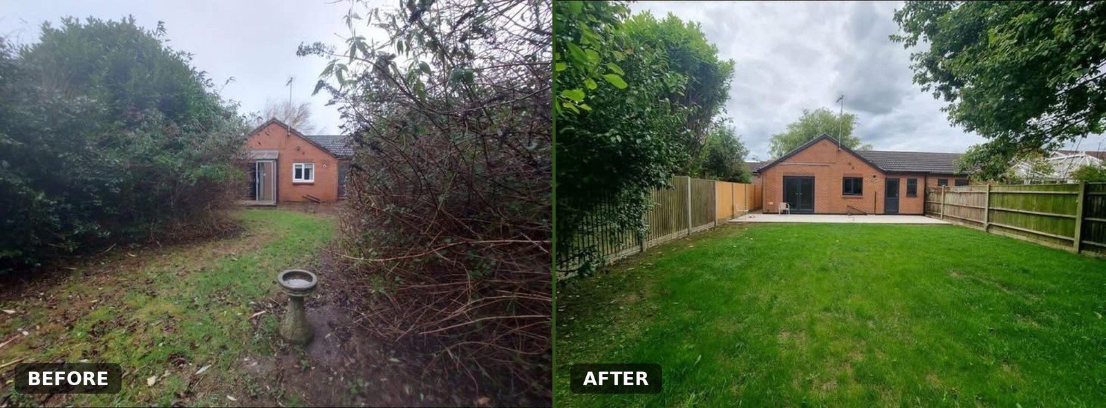 A neglected garden cleared and brought back to life