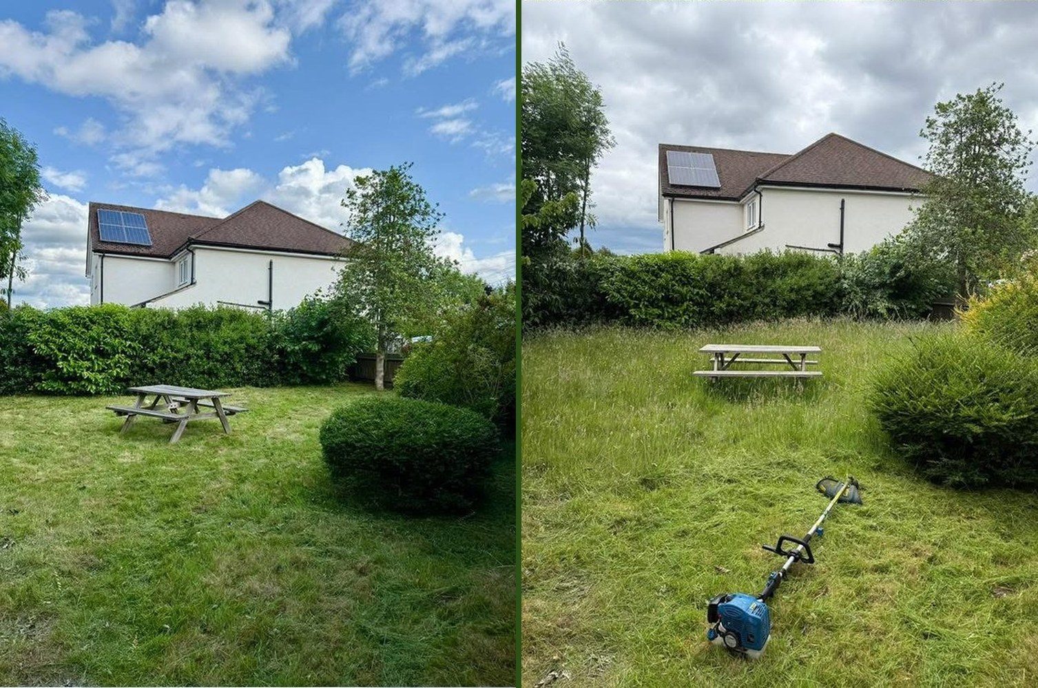 Knee high grass strimmed and hedges tidied